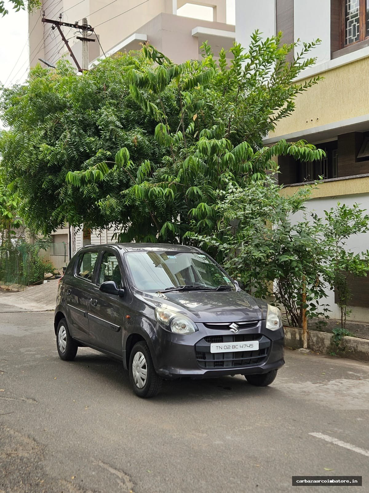 Maruti Suzuki Alto 800 2015 Photo 6