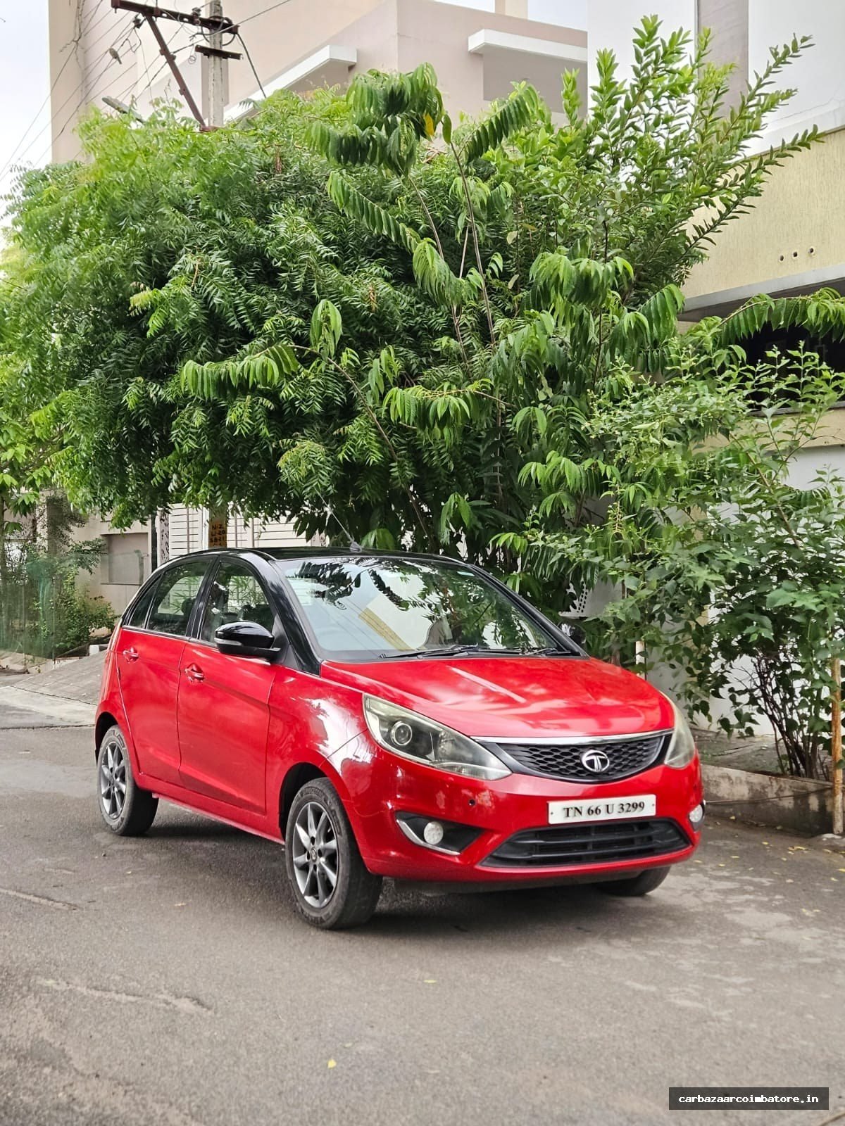 Tata Bolt 2017 Photo 6