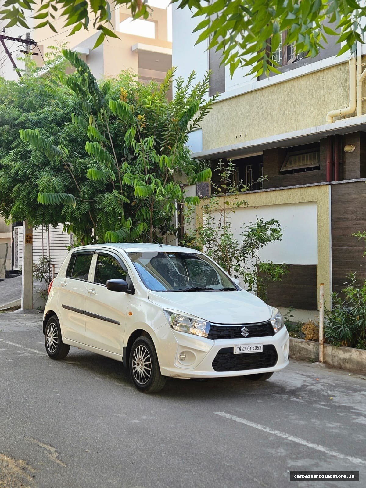 Maruti Suzuki Celerio 2024 Photo 5