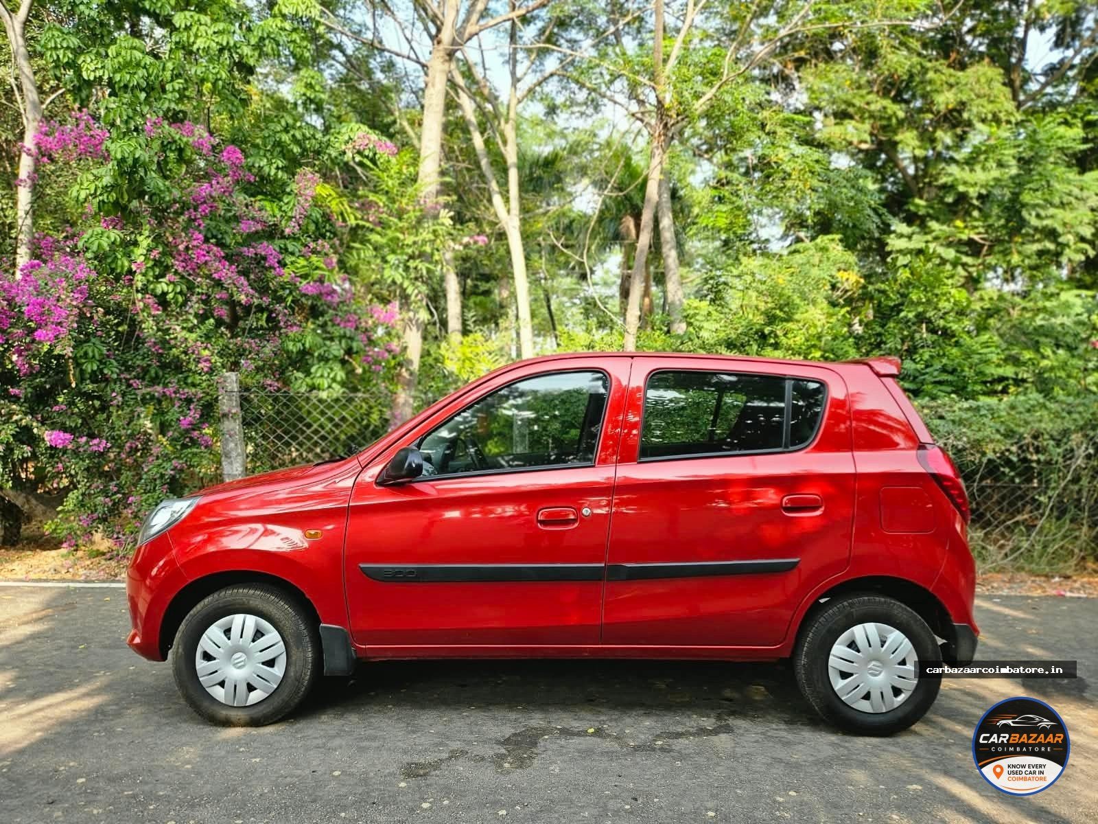 Maruti Suzuki Alto 800 2014 Photo 4