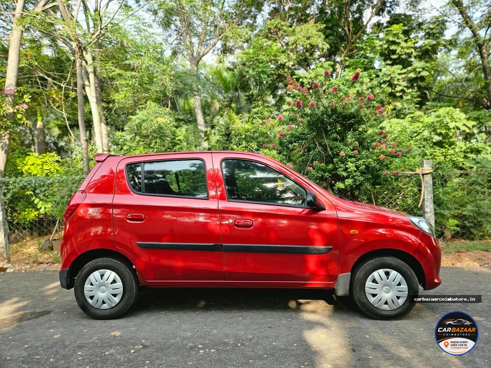 Maruti Suzuki Alto 800 2014 Photo 6