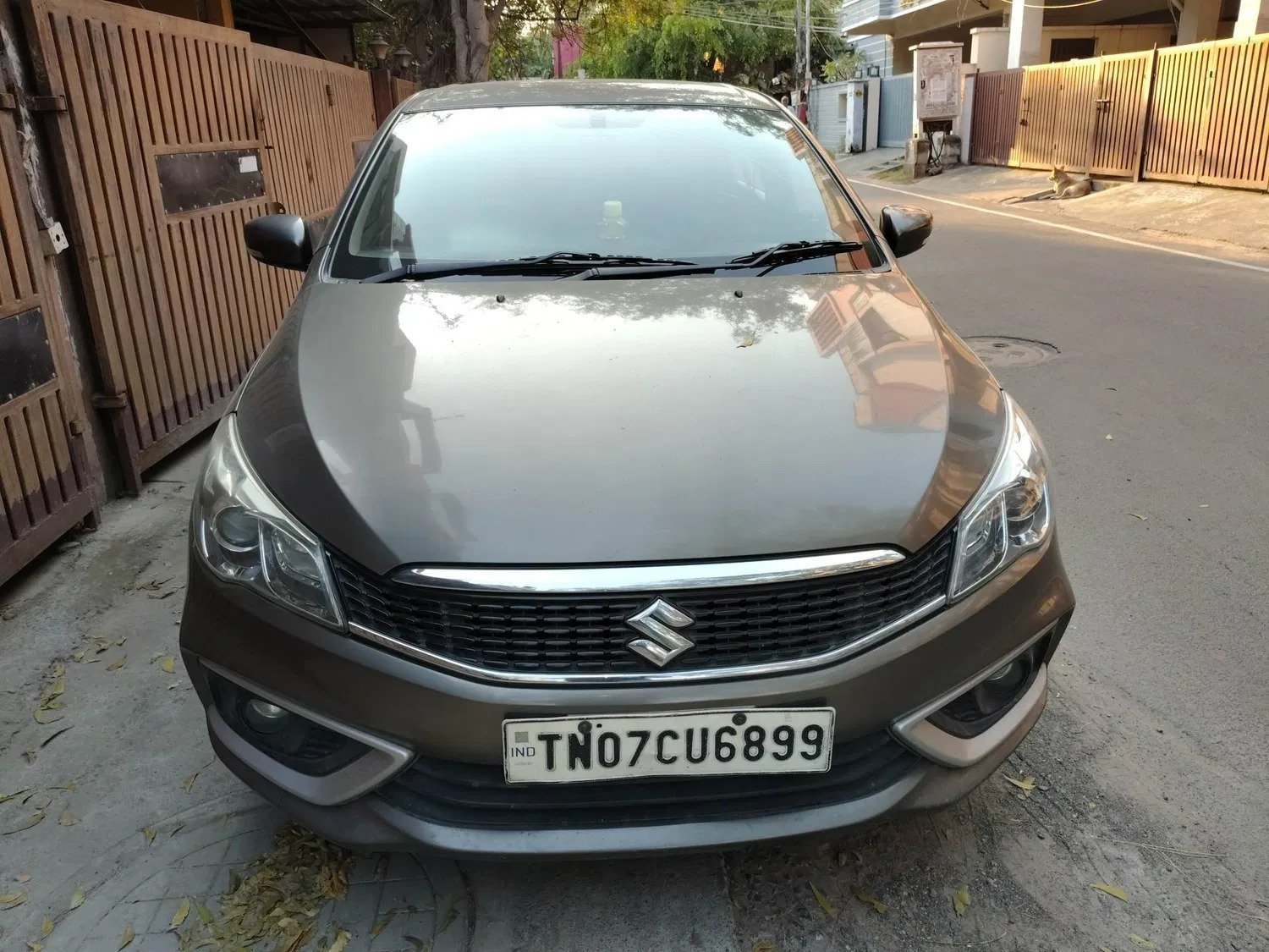 Maruti Suzuki Ciaz